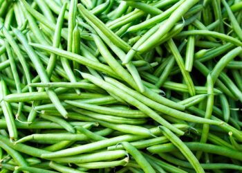 Kada sėti šparagines pupeles 2026 metais: kada sėju be rizikos ir be persėjimo