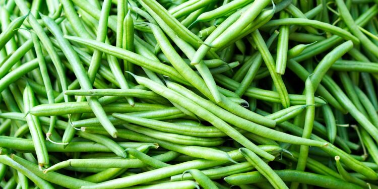 Kada sėti šparagines pupeles 2026 metais: kada sėju be rizikos ir be persėjimo