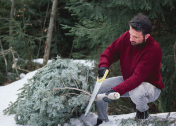 7 žiemos darbai kieme, kurie sutaupo pavasarį laiko ir pinigų