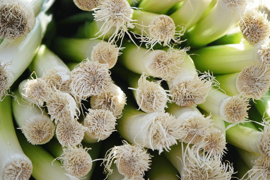 Kada sėti porus 2026 metais