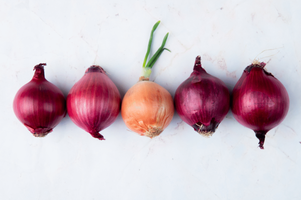 Kada sėti svogūnus 2026 metais