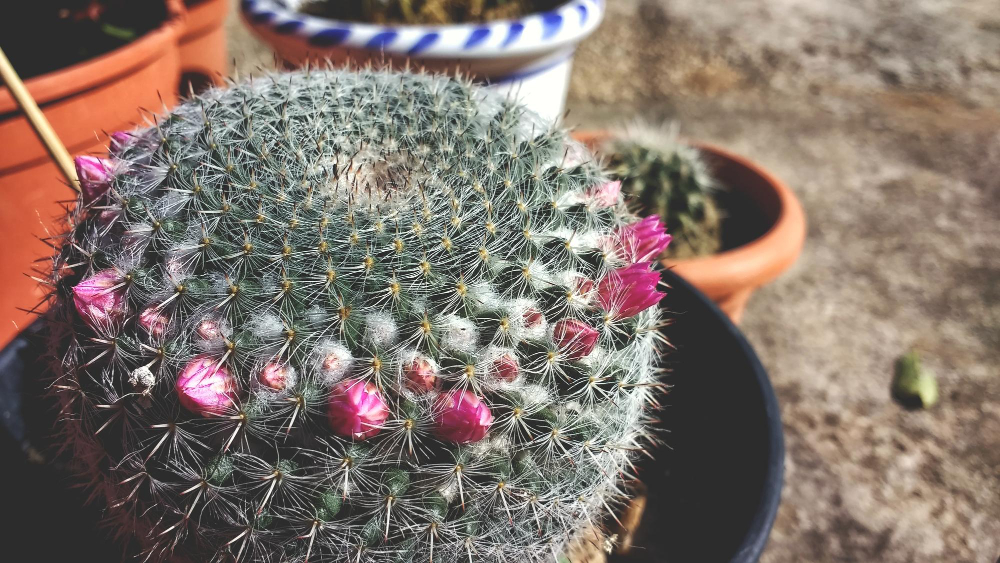 Kaip išvengti problemų ateityje