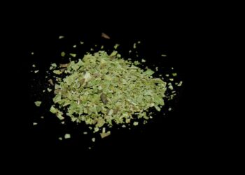 Džiovintas raudonėlis: kaip jį paruošti ir laikyti namuose