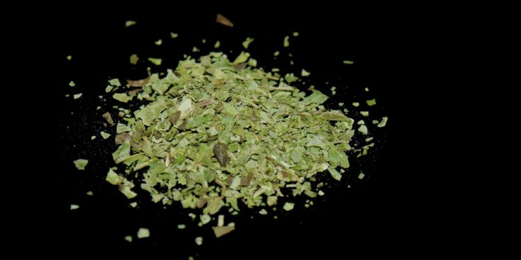 Džiovintas raudonėlis: kaip jį paruošti ir laikyti namuose