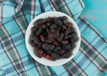 Šilkmedžio uogos: skonis, nauda ir panaudojimas