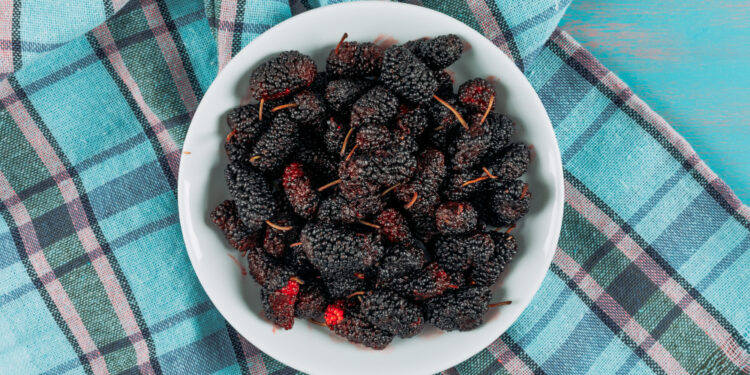 Šilkmedžio uogos: skonis, nauda ir panaudojimas