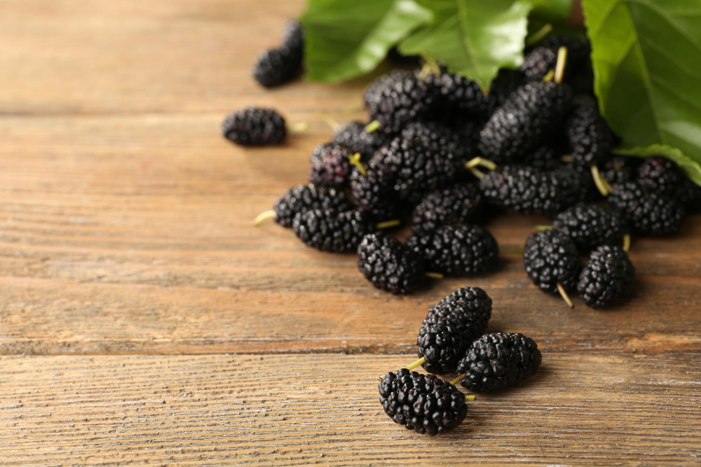 Šilkmedžio uogų panaudojimas virtuvėje