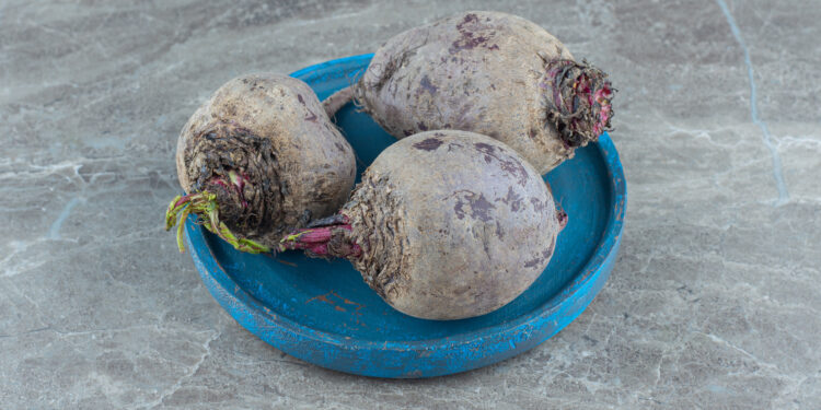 Kada sėti burokėlius 2026 metais: kada pradėti, kad derlius būtų tolygus ir saldus