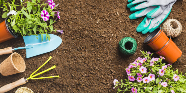 Ką sodinti gegužės mėnesį 2026 metais