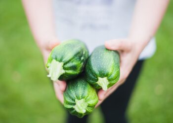 Kada sėti cukinijas 2026 metais: mano patirtis ir tikslūs terminai