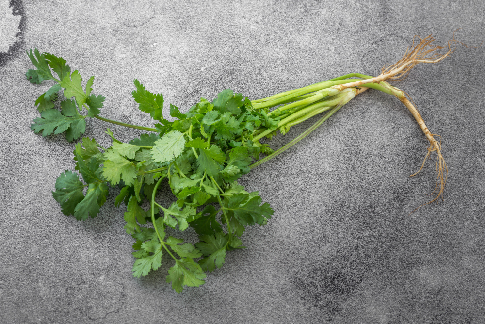 Kodėl kalendra džiovinant dažnai praranda aromatą