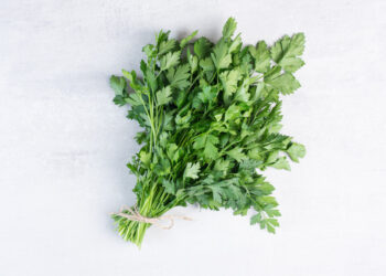 Džiovinta kalendra: kaip tinkamai džiovinti ir išsaugoti aromatą