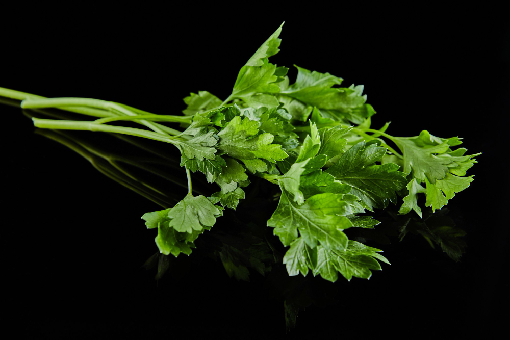 Kalendros džiovinimo būdai: natūraliai, orkaitėje, džiovyklėje