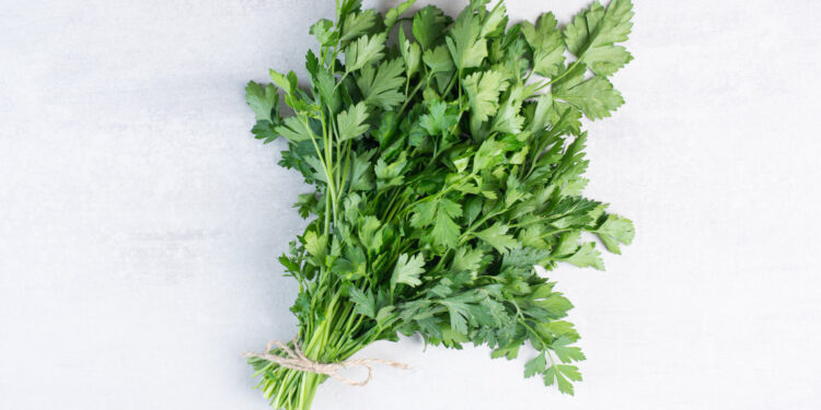 Džiovinta kalendra: kaip tinkamai džiovinti ir išsaugoti aromatą