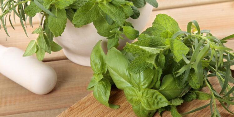 Kodėl siauralapis bazilikas yra puikus pasirinkimas jūsų sodui