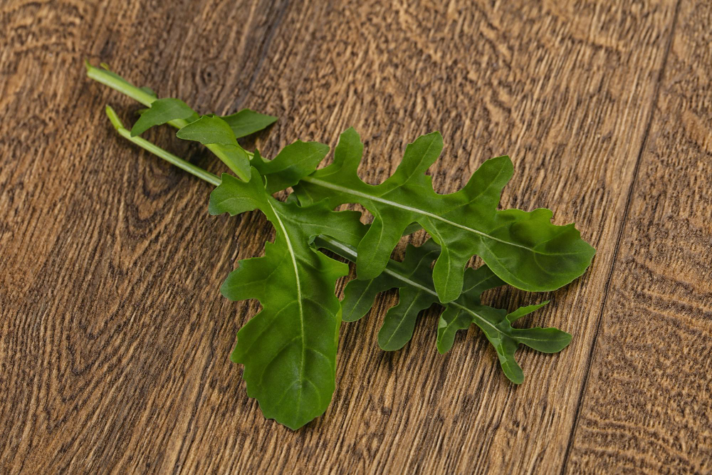 Kaip rukolą išlaikyti šviežią kuo ilgiau (ne šaldiklyje)