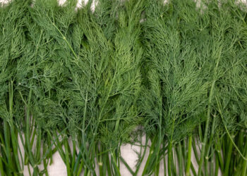 Krapų stiebai – kaip juos panaudoti virtuvėje ir sumažinti atliekas