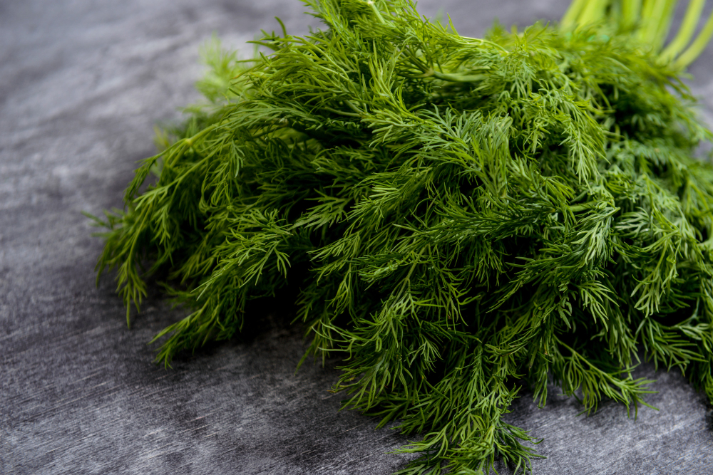 Krapų stiebai kaip natūralus prieskonis ir aromato šaltinis