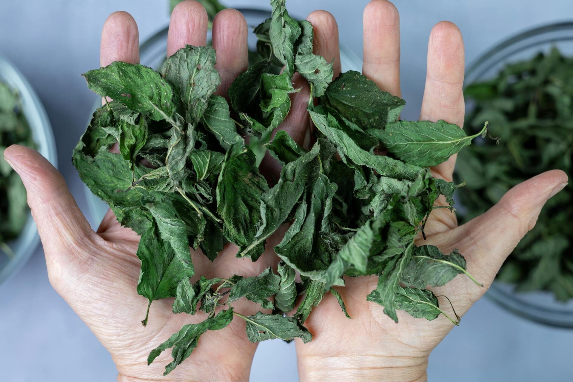 Kaip rinkti ir džiovinti mėtas, kad kvapas išliktų visai žiemai