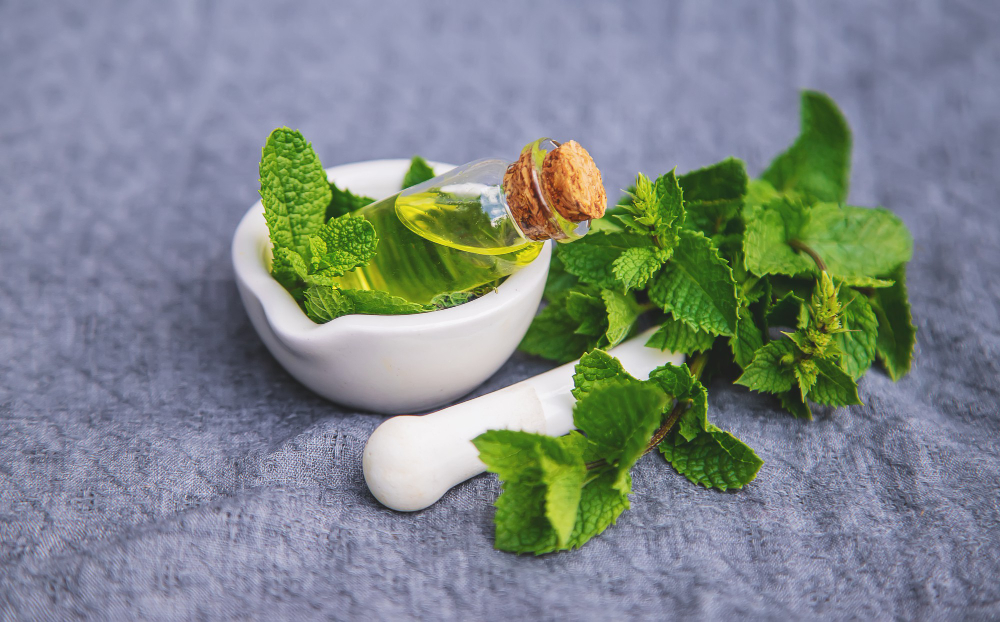 Kiti mėtų naudojimo būdai – sirupas, vonios, kompresai ir namų kvapai