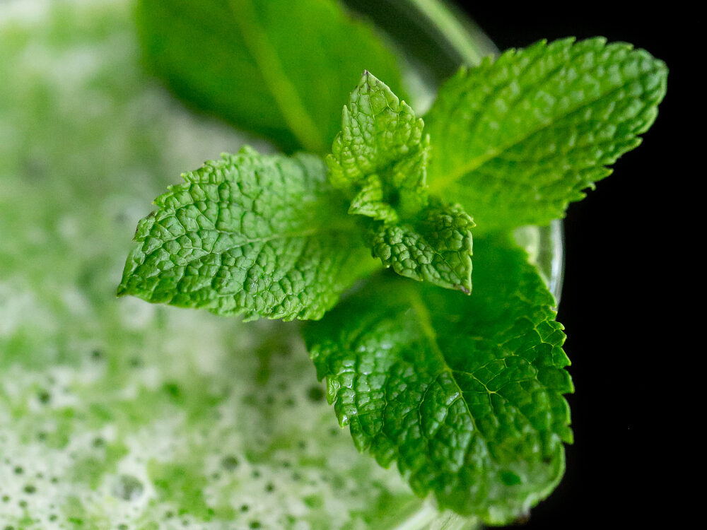 Mėtos virtuvėje – ne tik arbatai