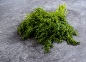 Krapų paruošimas žiemai: džiovinimo, šaldymo ir konservavimo būdai