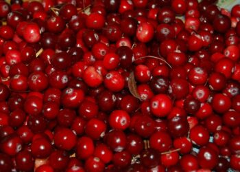 Spanguolės žiemai: geriausi paruošimo būdai