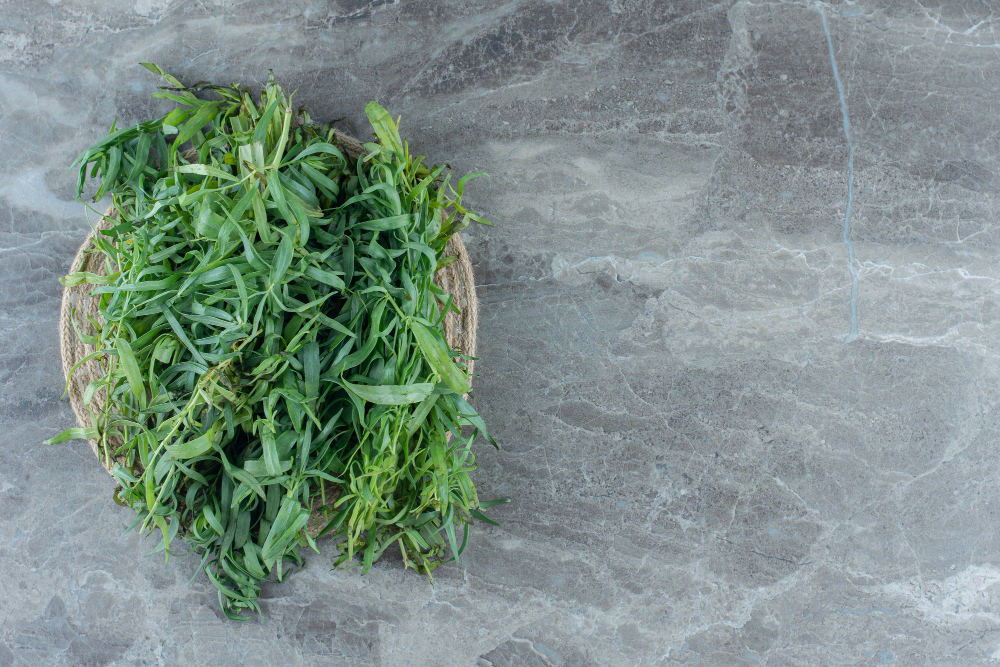 Dažniausios klaidos auginant diemedį, susijusios su žydėjimu