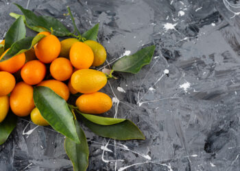 Kaip sodinti kinkanus ir kokių sąlygų jiems reikia augti