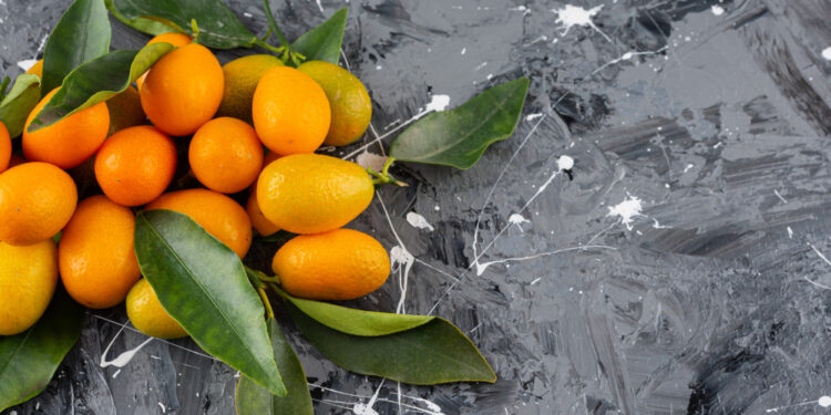 Kaip sodinti kinkanus ir kokių sąlygų jiems reikia augti