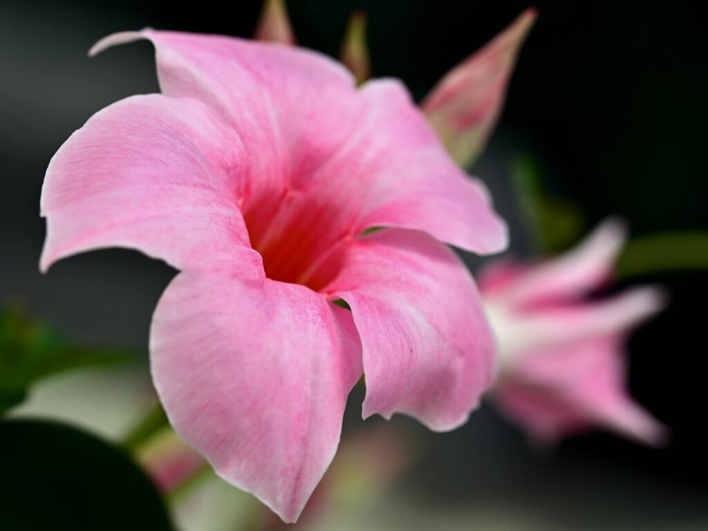 Temperatūros svyravimai ir skersvėjai