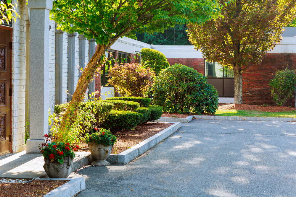 Kokiu atstumu sodinti krūmus prie namo?