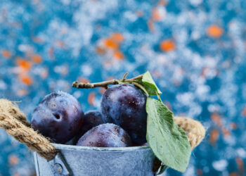 Slyvos žiemai: šaldymas, džiovinimas ir konservavimas