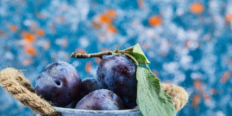 Slyvos žiemai: šaldymas, džiovinimas ir konservavimas