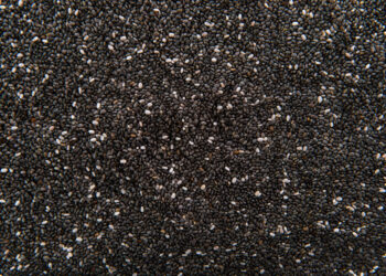 Ispaninis šalavijas: kilmė, savybės ir panaudojimas