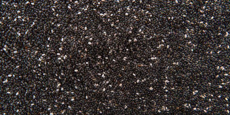 Ispaninis šalavijas: kilmė, savybės ir panaudojimas