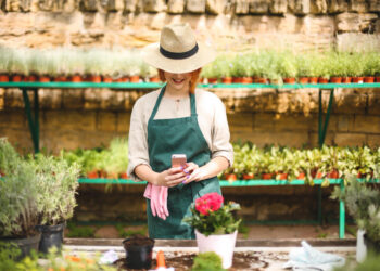 Kaip atsirinkti patikimus sodininkystės patarimus internete