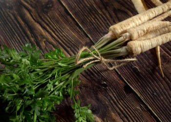 Petražolių šaknys: kada ir kaip jas kasti bei naudoti