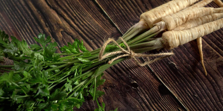 Petražolių šaknys: kada ir kaip jas kasti bei naudoti