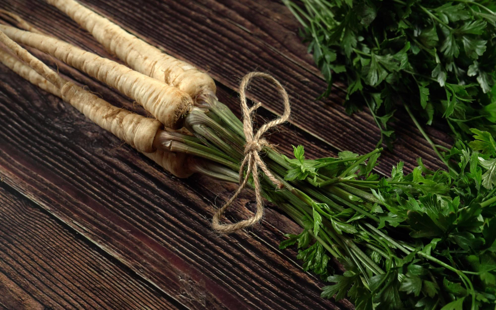 Kaip naudoti petražolių šaknis