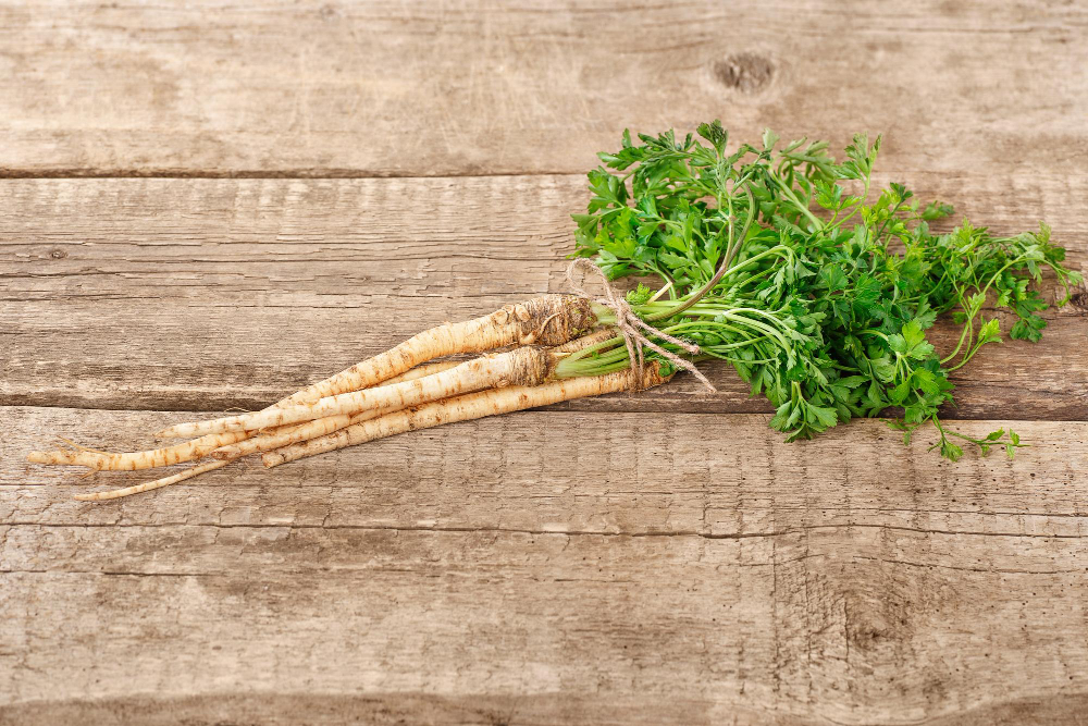 Kaip laikyti petražolių šaknis