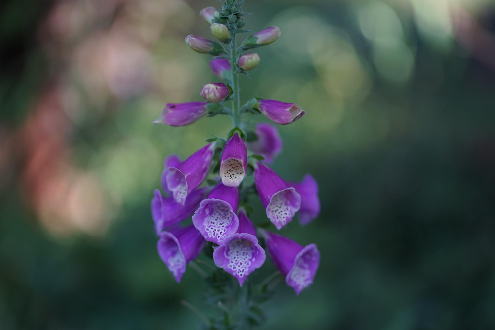 Praktiniai patarimai