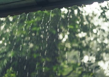 Ką veikti sodyboje lietingą dieną, kai darbai lauke sustoja?